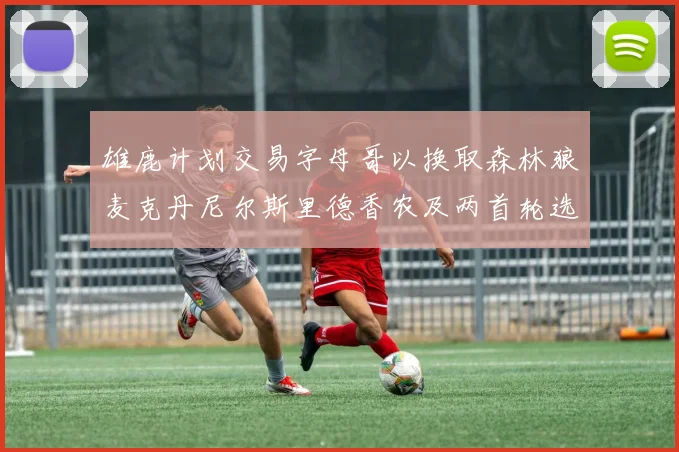 雄鹿计划交易字母哥以换取森林狼麦克丹尼尔斯里德香农及两首轮选秀权